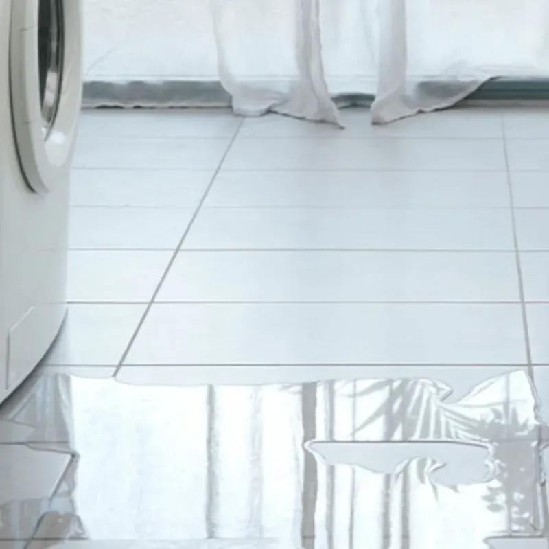 Appliance Leak Cleanup in Los Molinos, CA
