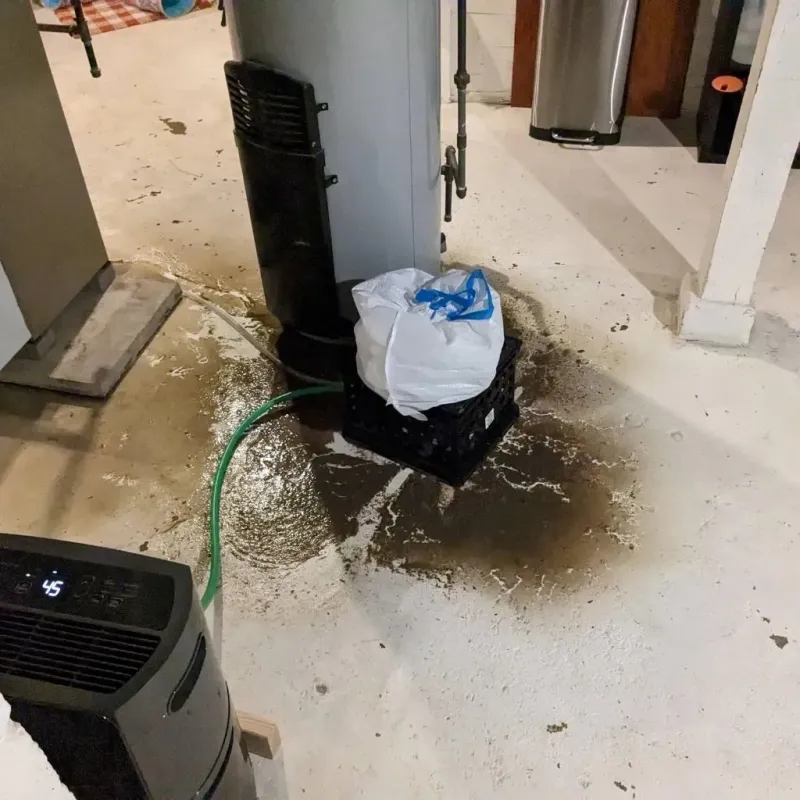 Sewage Backup Cleanup Service in Los Molinos, CA